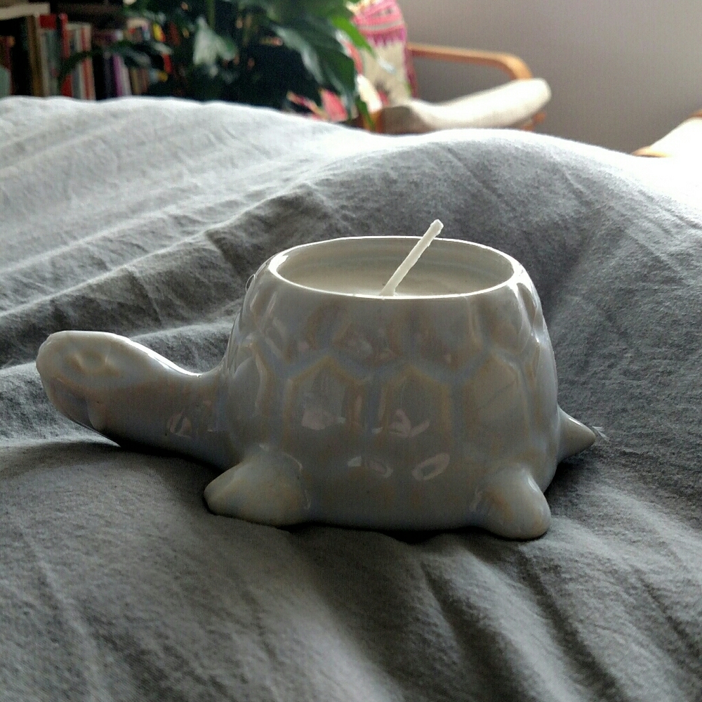 Homemade Candle in Ceramic Pale Blue Turtle